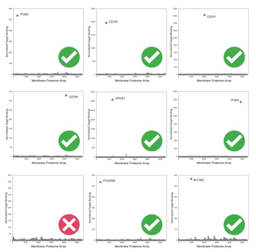 Antibodies_Fig1