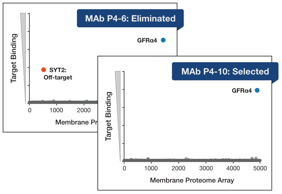 GFRa4-graphs