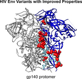 HIV case study_structure