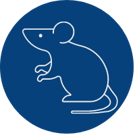 Transgenic ATX-Gx humanized mice Transgenic ATX-Gx humanized mice