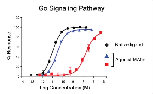 G𝛼 signaling pathway