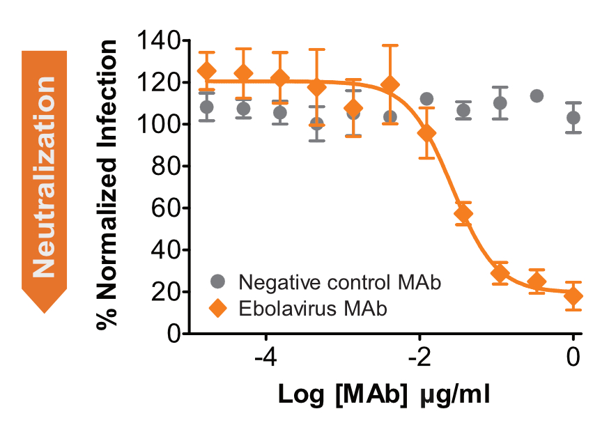 Monoclonal antibody concentration plotted against percent normalized infection. Ebola RVP infection starts dropping steeply at an antibody concentration of about 0.01 micrograms per ml.