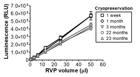 Graph plotting RVP volume on the X-axis against luminescence on the Y-axis. Lines represent cryopreservation times of 1 week, 1 month, 3 months, 22 months, and 23 months. Luminescence decreases slightly from 1 month to 3 months then remains stable.