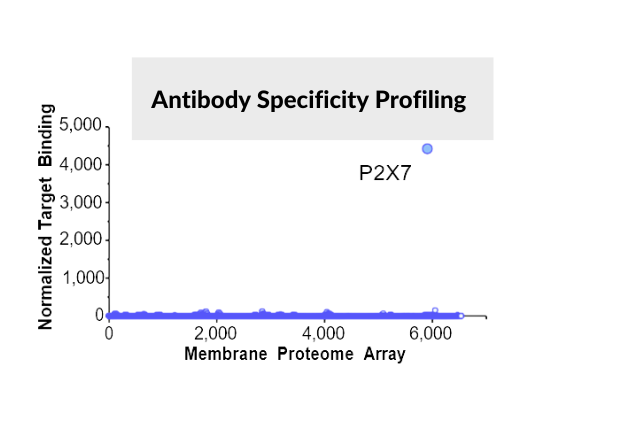 Antibody Specificity Profiling P2X7 graph