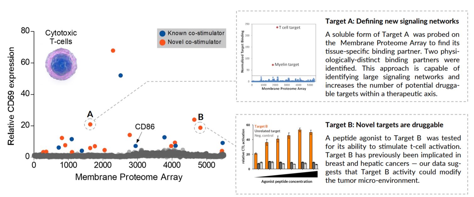 functional screening 3